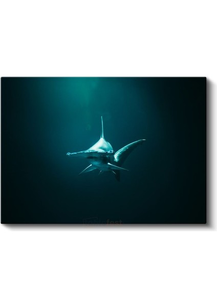 Derin Sularda Köpekbalığı - Karşıdan Bakış Kanvas Tablo fiyatları
