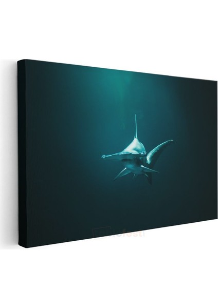 Derin Sularda Köpekbalığı - Karşıdan Bakış Kanvas Tablo modelleri