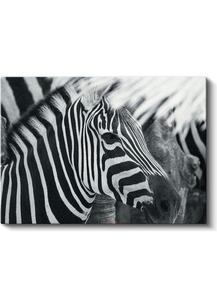 Zebra Deseni - Çizgilerin Mükemmel Uyumu Kanvas Tablo fiyatları