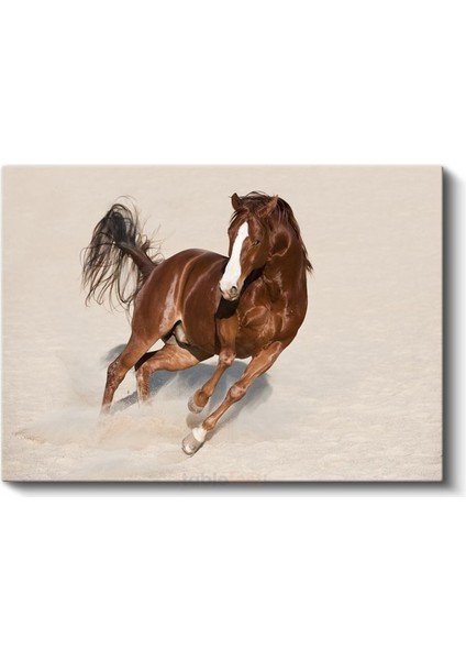 Koşan Arap Atı - Kumda Özgür Ruh Kanvas Tablo fiyatları