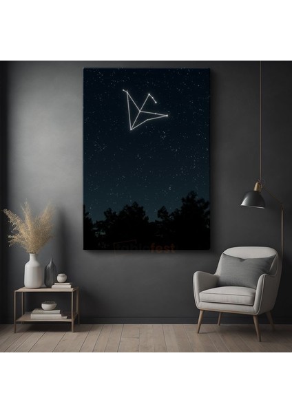 Yıldız Takımı - Gece Gökyüzünde Parlayan Kuş Silueti Kanvas Tablo