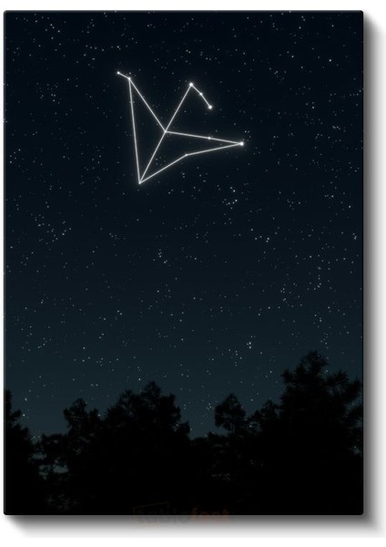Yıldız Takımı - Gece Gökyüzünde Parlayan Kuş Silueti Kanvas Tablo fiyatları