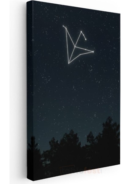 Yıldız Takımı - Gece Gökyüzünde Parlayan Kuş Silueti Kanvas Tablo modelleri