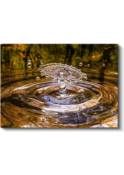 Su Damlası - Doğanın Muhteşem Detayı Kanvas Tablo fiyatları