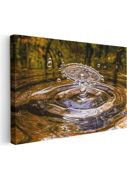 Su Damlası - Doğanın Muhteşem Detayı Kanvas Tablo modelleri