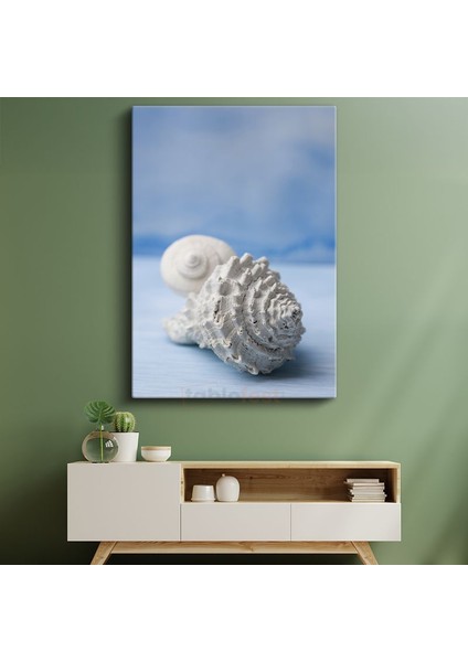 Deniz Kabukları - Okyanus Hazineleri Kanvas Tablo