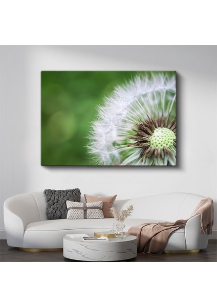 Karahindiba - Makro Çekim Doğal Detay Kanvas Tablo