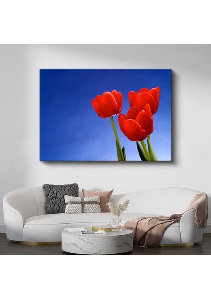 Kırmızı Laleler - Mavi Gökyüzü Altında Bahar Çiçekleri Kanvas Tablo
