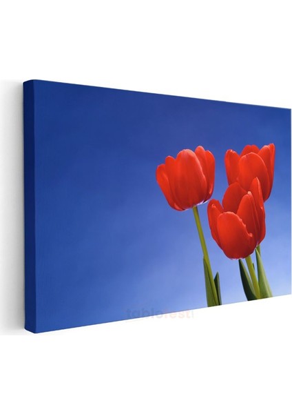 Kırmızı Laleler - Mavi Gökyüzü Altında Bahar Çiçekleri Kanvas Tablo modelleri