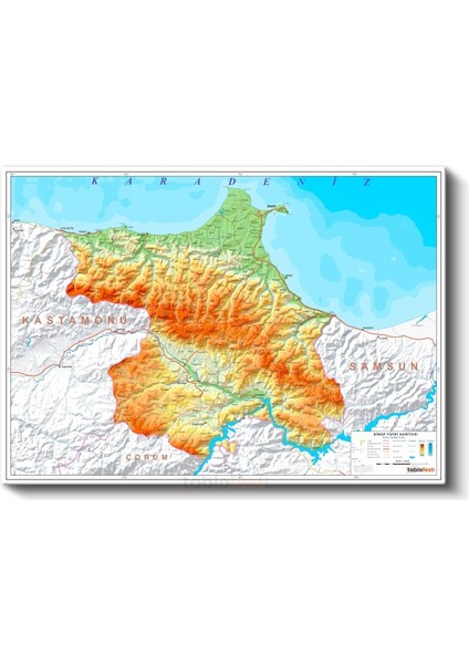 Sinop - Fiziki Haritası Kanvas Tablo fiyatları