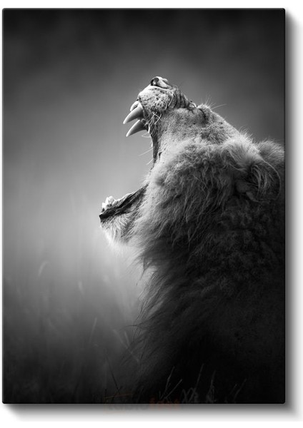 Kükreyen Aslan - Güç Simgesi Yırtıcı Kanvas Tablo fiyatları