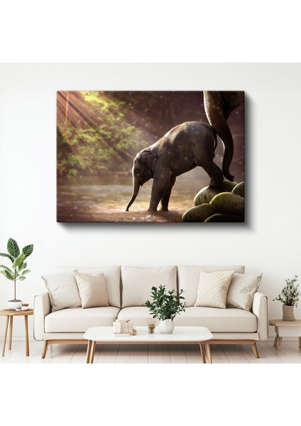 Yavru Fil - Nehirde Ilk Adımlarını Atan Sevimli Bebek Kanvas Tablo