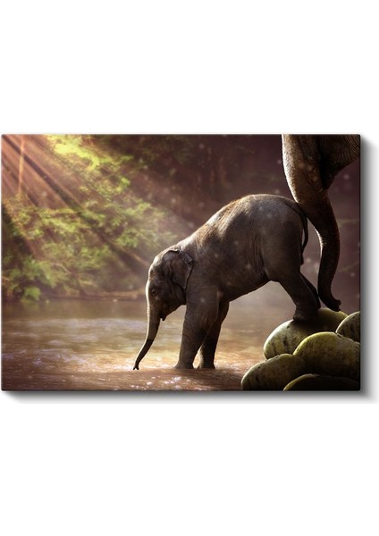 Yavru Fil - Nehirde Ilk Adımlarını Atan Sevimli Bebek Kanvas Tablo fiyatları