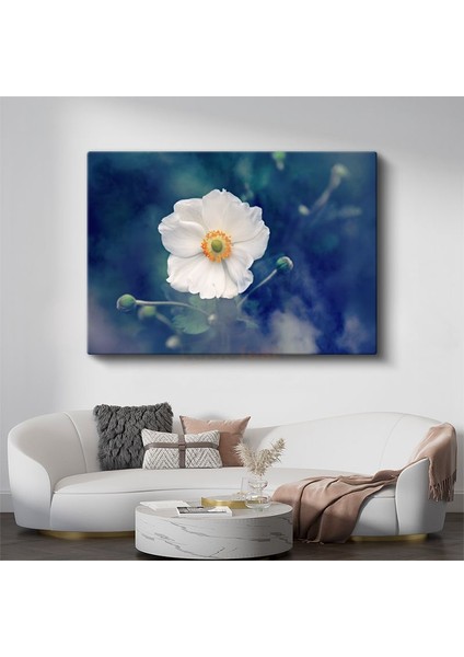 Beyaz Anemon - Turuncu Merkezli Zarif Çiçek Kanvas Tablo