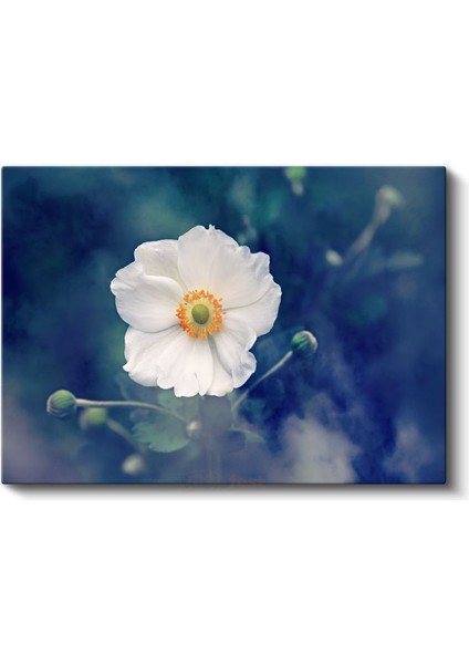 Beyaz Anemon - Turuncu Merkezli Zarif Çiçek Kanvas Tablo fiyatları