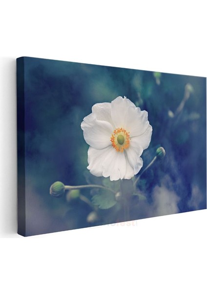 Beyaz Anemon - Turuncu Merkezli Zarif Çiçek Kanvas Tablo modelleri