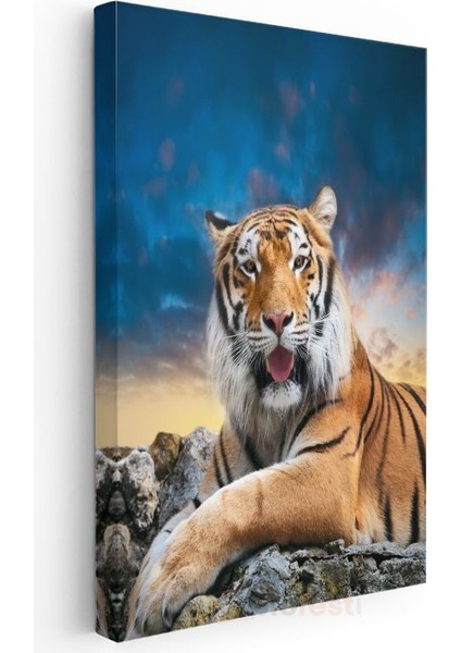 Bengal Kaplanı - Huzurlu Dinleniş Kanvas Tablo modelleri