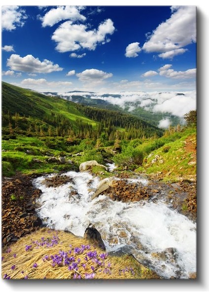 Dağ Deresi - Çiçekli Yamaçlar ve Coşkun Sular Kanvas Tablo fiyatları