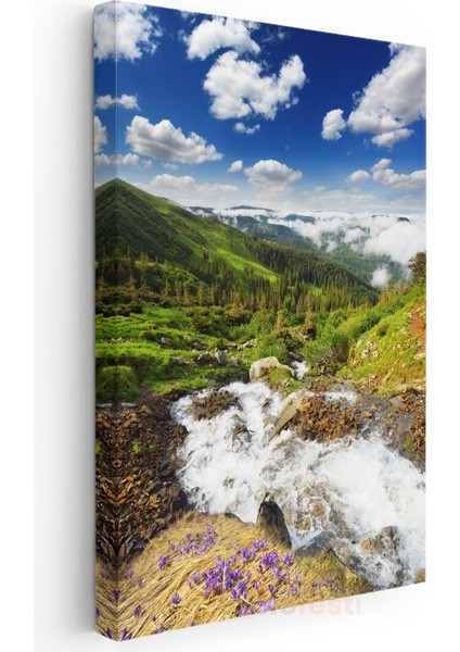 Dağ Deresi - Çiçekli Yamaçlar ve Coşkun Sular Kanvas Tablo modelleri