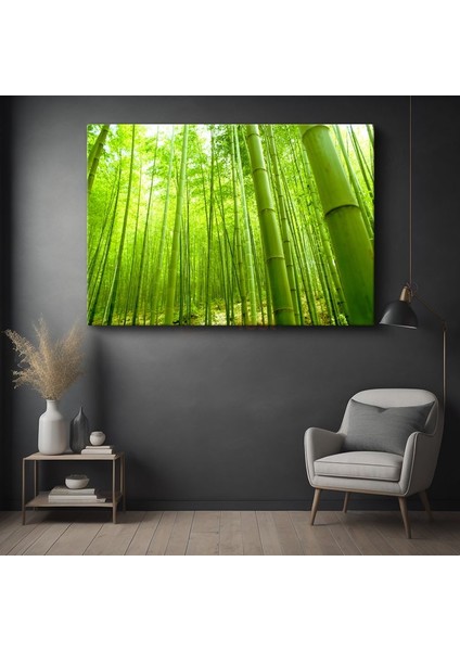 Bambu Ormanı - Canlı Yeşil Tonlarıyla Doğanın Huzuru Kanvas Tablo