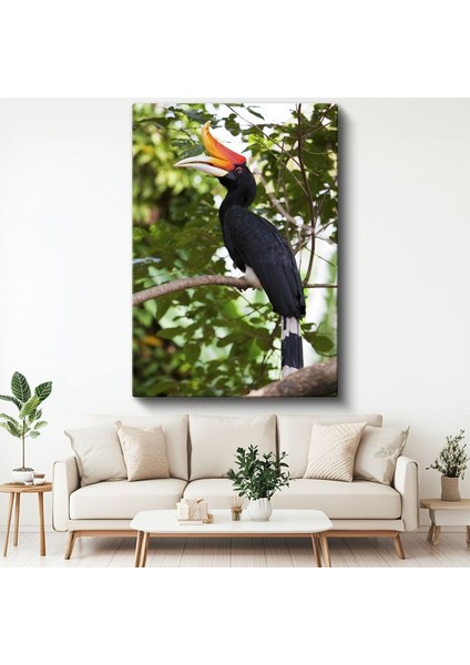 Boynuzlu Kuş - Görkemli Gagalı Egzotik Kuş Kanvas Tablo