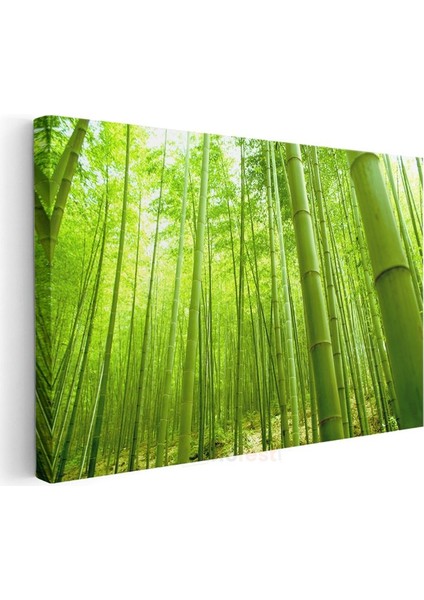 Bambu Ormanı - Canlı Yeşil Tonlarıyla Doğanın Huzuru Kanvas Tablo modelleri