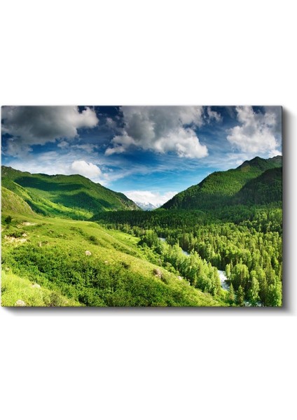 Yeşil Vadi - Ormanlar Arasında Akan Nehir Kanvas Tablo fiyatları