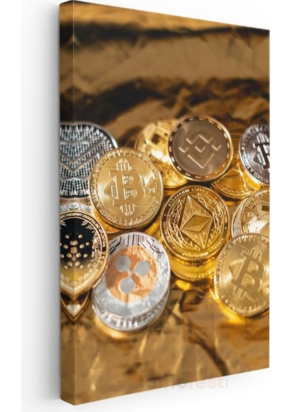 Kripto Paralar - Bitcoin ve Altcoin Koleksiyonu Kanvas Tablo modelleri