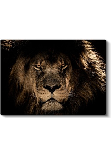 Aslan Yüzü - Karanlıkta Parlayan Gözlü Ormanlar Kralı Kanvas Tablo fiyatları