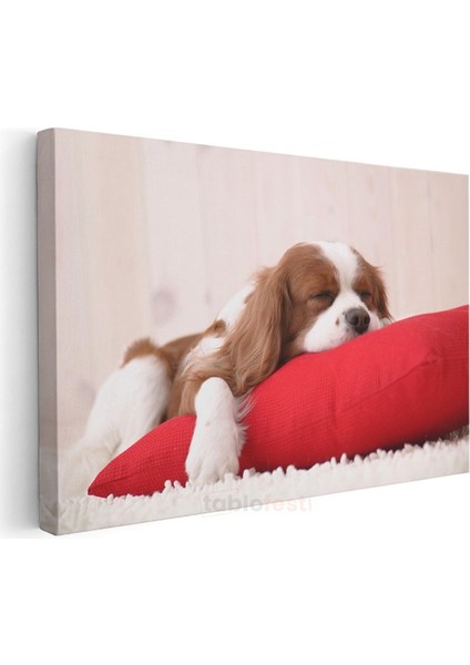 Uykucu Köpek - Kırmızı Yastıkta Huzurlu Cavalier Spaniel Kanvas Tablo modelleri
