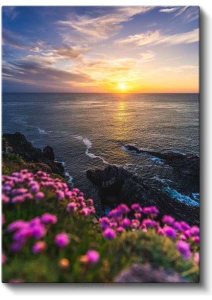 Okyanus Günbatımı - Pembe Çiçekli Sahil Kanvas Tablo fiyatları