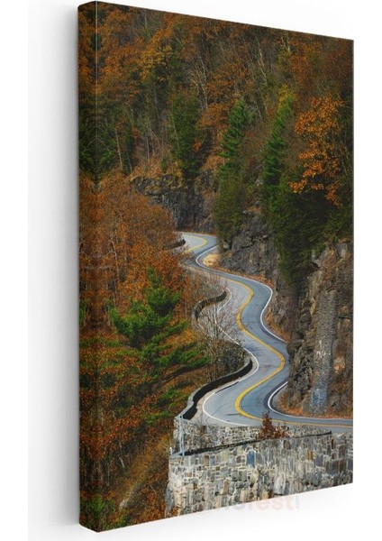 Dağ Virajları - Sonbahar Renkleriyle Bezeli Kıvrımlı Yol Kanvas Tablo modelleri