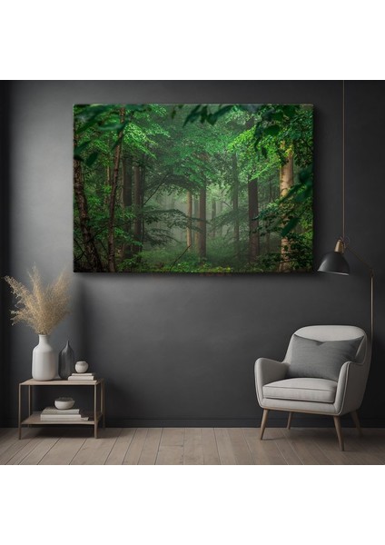 Sis Ormanı - Yeşil Yapraklar Arasında Işık Huzmeleri Kanvas Tablo