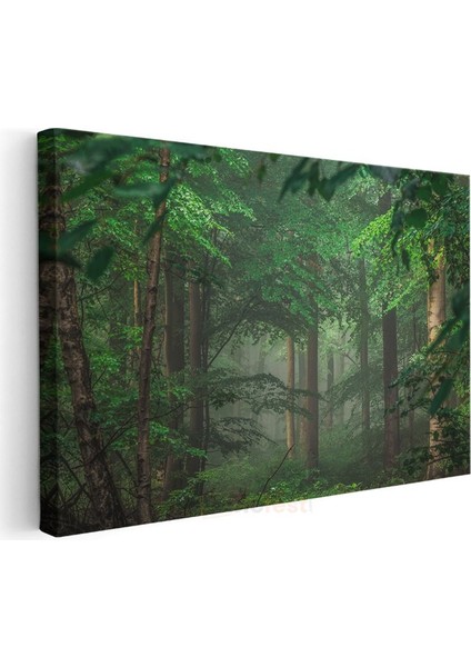 Sis Ormanı - Yeşil Yapraklar Arasında Işık Huzmeleri Kanvas Tablo modelleri