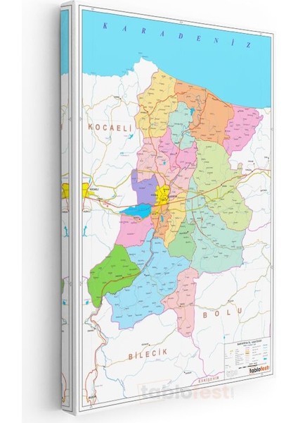 Sakarya - Il Haritası Kanvas Tablo modelleri