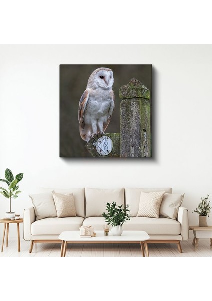 Peçeli Baykuş - Ahşap Çitte Bilge Bakışlar Kanvas Tablo