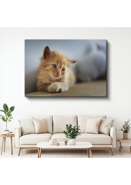 Kedi Yavrusu - Mavi Gözlü Minik Dostumuz Kanvas Tablo