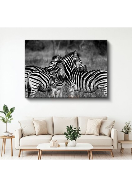 Zebra Sürüsü - Savanada Siyah Beyaz Uyum Kanvas Tablo