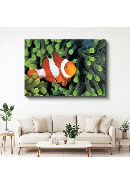 Palyaço Balığı - Mercan Resiflerinin Rengarenk Sakini Kanvas Tablo