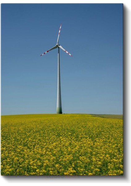 Rüzgar Türbini - Sarı Çiçek Tarlasında Yükselen Enerji Kanvas Tablo fiyatları