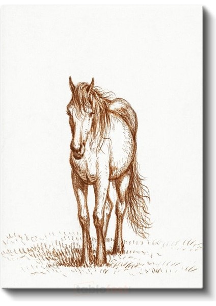 Çizim At - Çayırda Duran Özgür Ruh Kanvas Tablo fiyatları