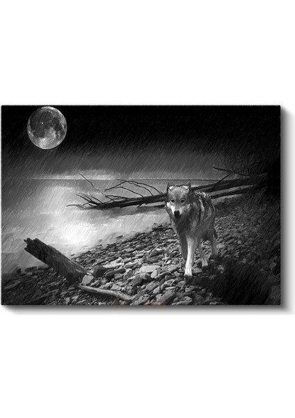 Yalnız Kurt - Dolunay Altında Vahşi Doğada Kanvas Tablo fiyatları