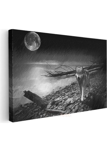 Yalnız Kurt - Dolunay Altında Vahşi Doğada Kanvas Tablo modelleri
