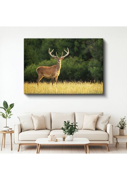 Boynuzlu Geyik - Altın Sarısı Çayırda Heybetli Bekleyiş Kanvas Tablo