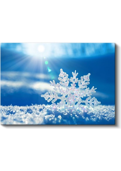 Kristal Kar Tanesi - Mavi Gökyüzü Altında Parıldayan Doğa Mucizesi Kanvas Tablo fiyatları