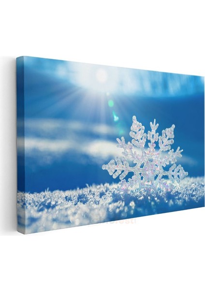 Kristal Kar Tanesi - Mavi Gökyüzü Altında Parıldayan Doğa Mucizesi Kanvas Tablo modelleri