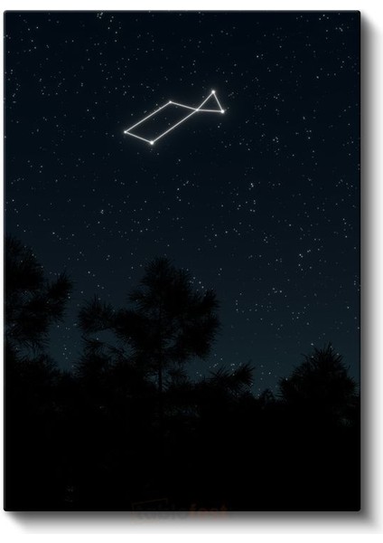 Yıldız Takımı - Gecenin Derinliklerindeki Işıltılı Rehber Kanvas Tablo fiyatları