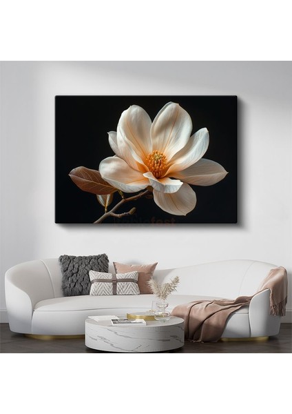 Magnolya Çiçeği - Siyah Zeminde Detaylı Botanik Illüstrasyon Kanvas Tablo