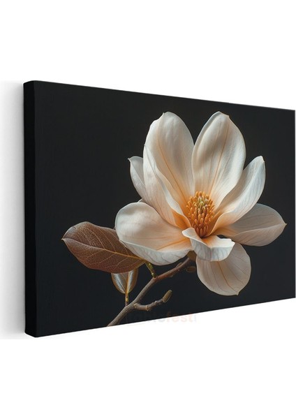 Magnolya Çiçeği - Siyah Zeminde Detaylı Botanik Illüstrasyon Kanvas Tablo modelleri