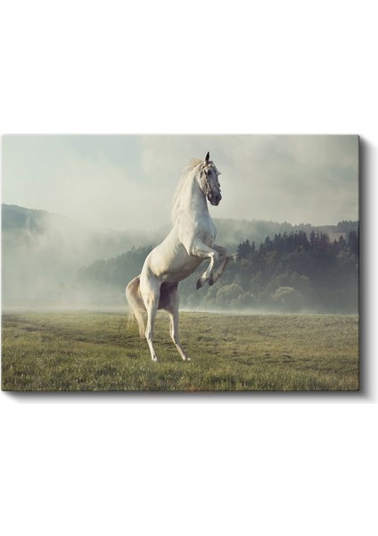 Şaha Kalkan At - Çayırda Özgür Ruh Kanvas Tablo fiyatları